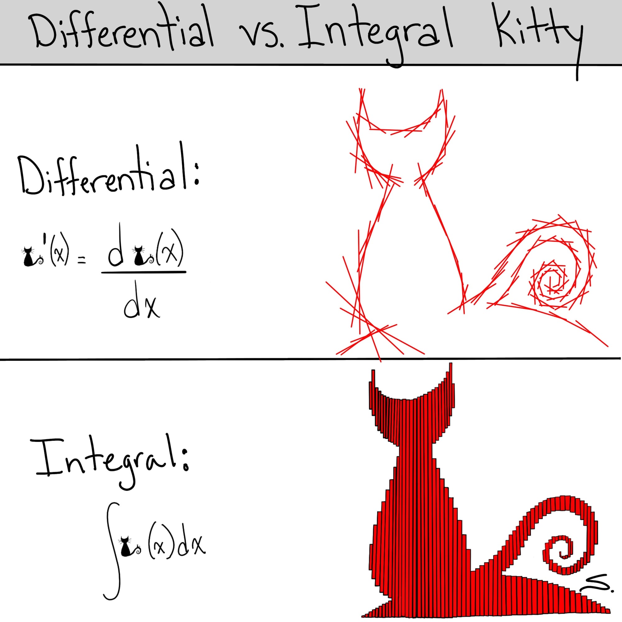 a cat drawn with red tangent lines and a derivative equation and then a kitty made of red bars and an integral equation