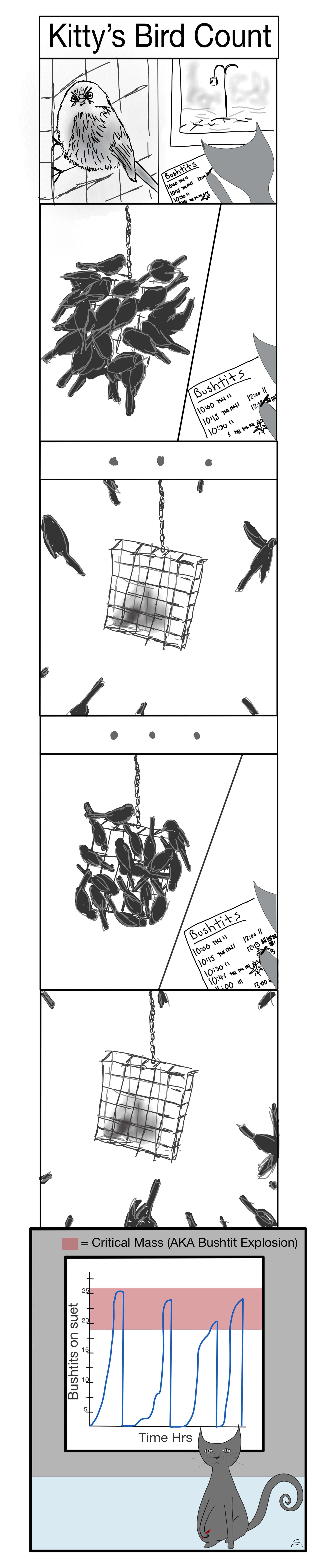 a comic showing the math of how bushtits explode with they hit critical mass on the feeder