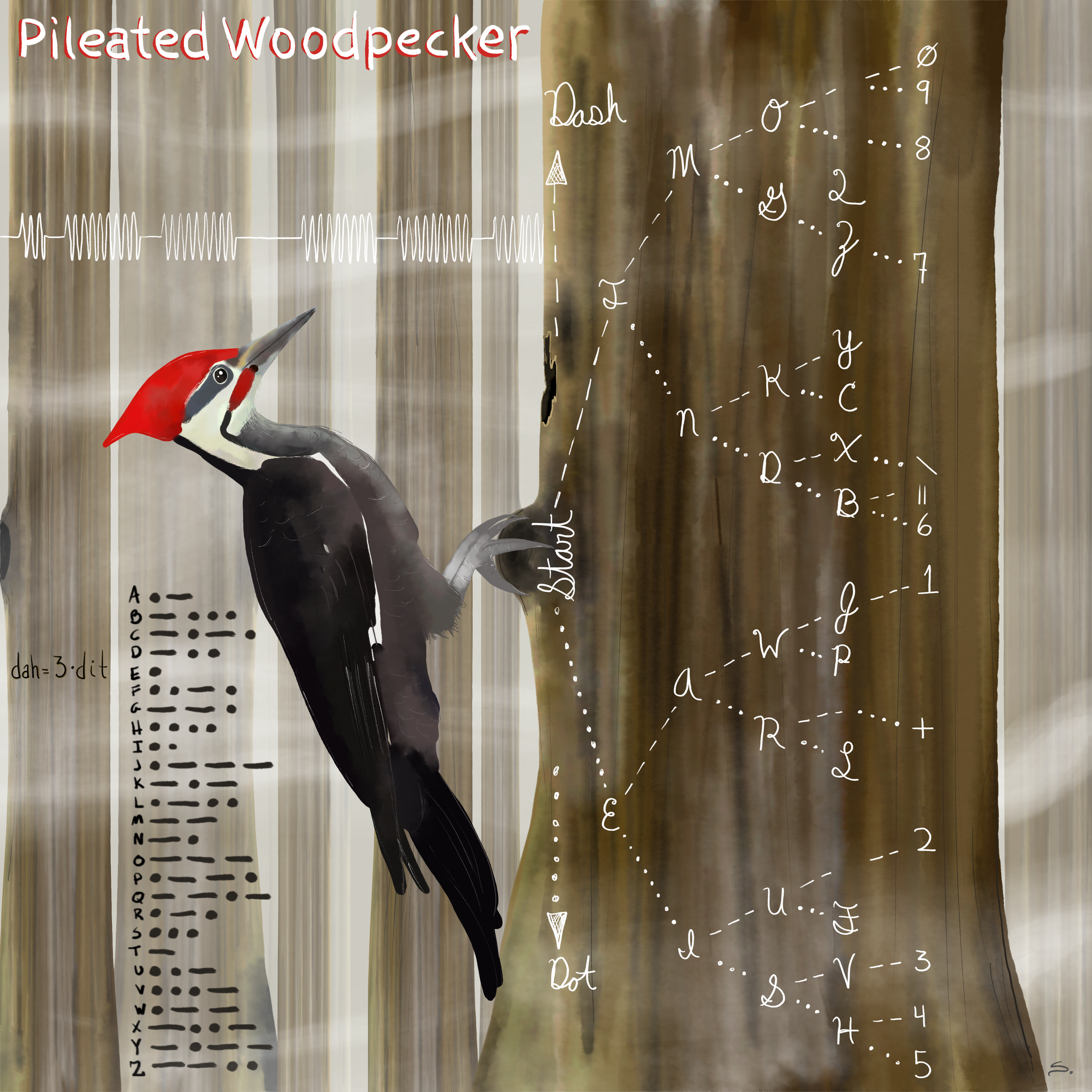 A pileated woodpecker with morse code and the branches of letters with the waves shown in a forest