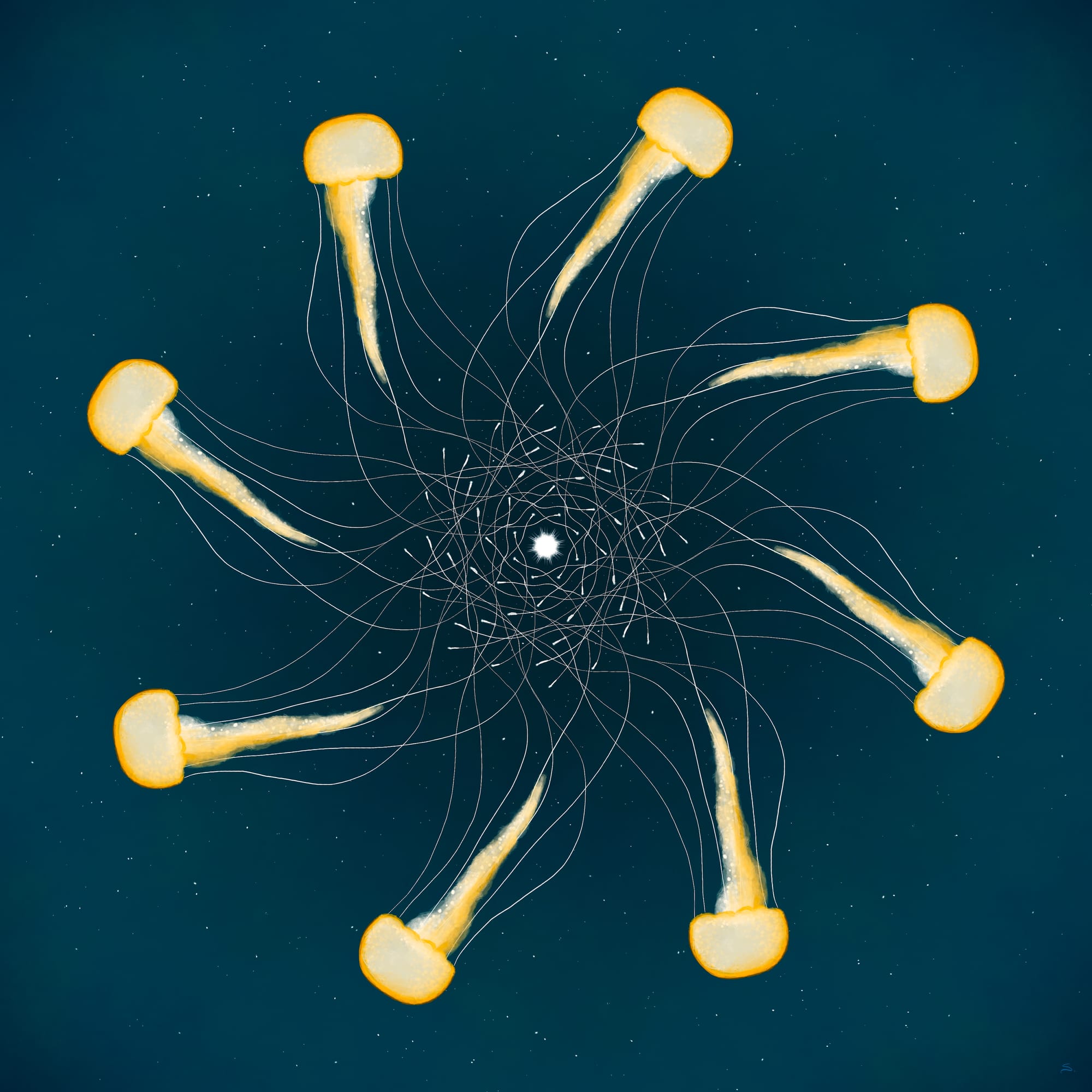 a mandala of jellyfish with overlapping tentacles 