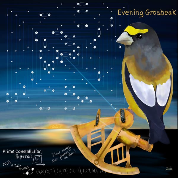 Evening Grosbeak navigating a prime constellation.