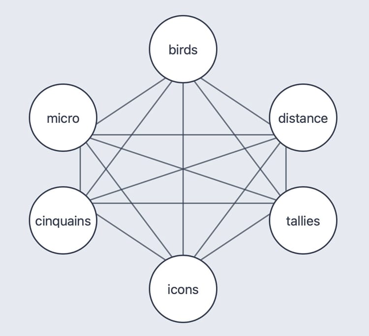 circles with words of birds, distance, tallies, icons, cinquains, and micro at vertices of a hexagon - lines between vertices