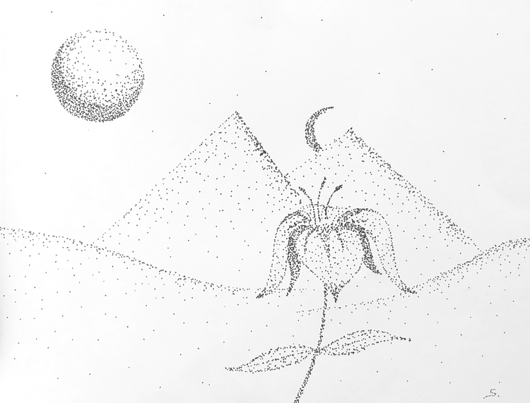 a flower pyramid night scene made with black dots