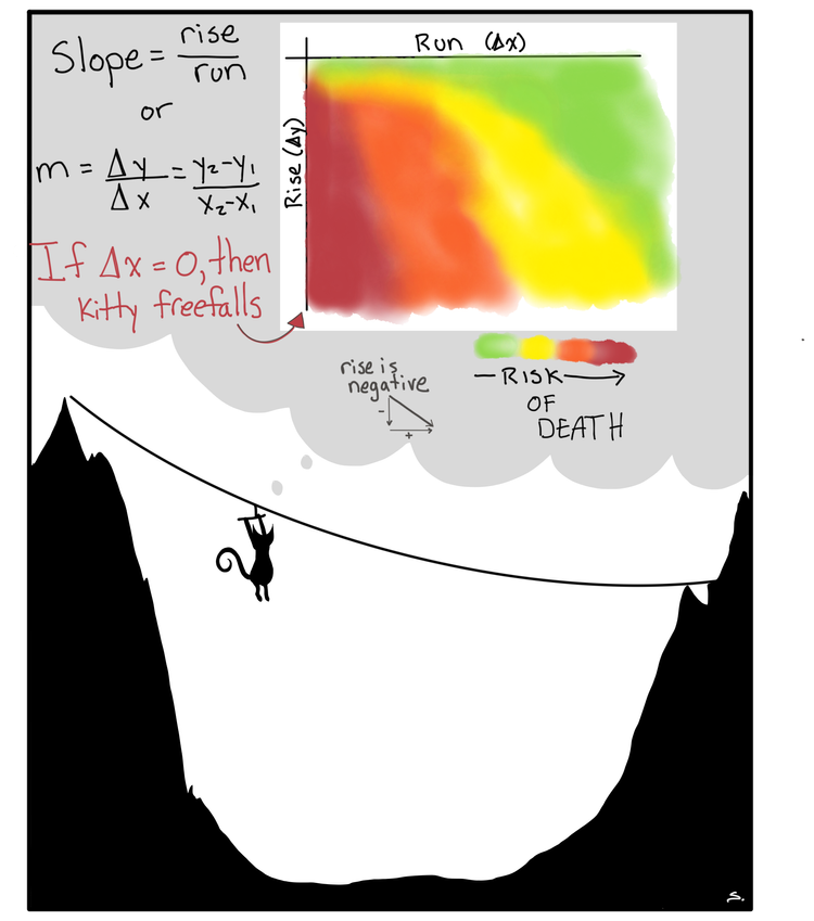 a kitty on a zip line showing the rise/run heat map that if the change in x is zero then the kitty falls