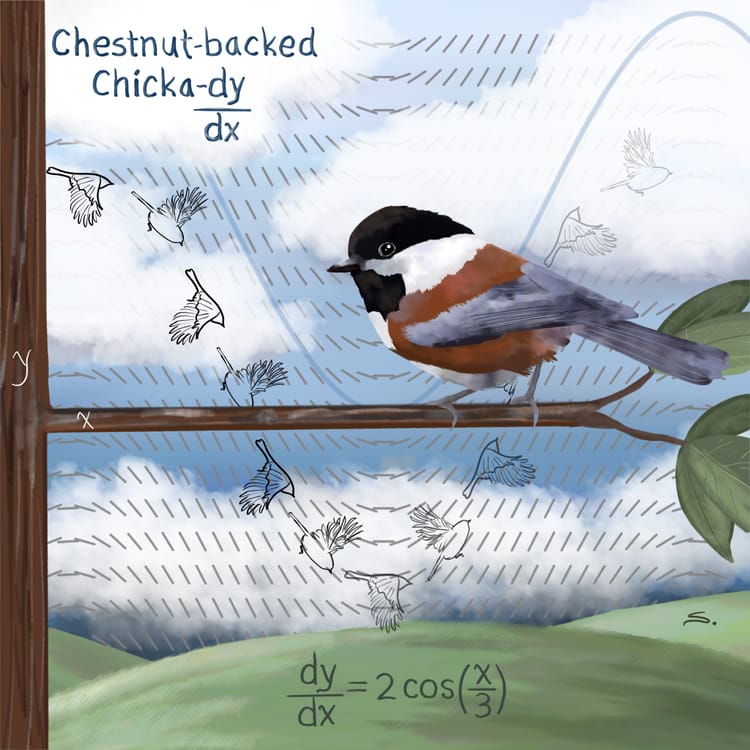 chickadee with a slope field and the derivate dy/dx = 2co(x/3) with the rollercoaster flight sketched