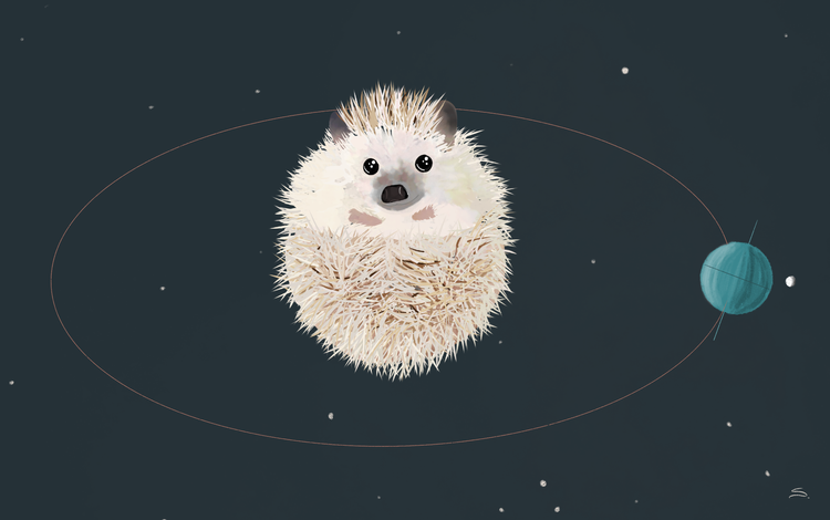 a hedgehog with an orbiting planet and stars