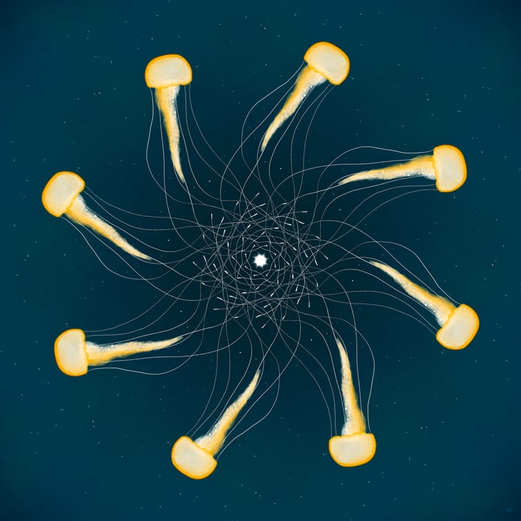 a mandala of jellyfish with overlapping tentacles 