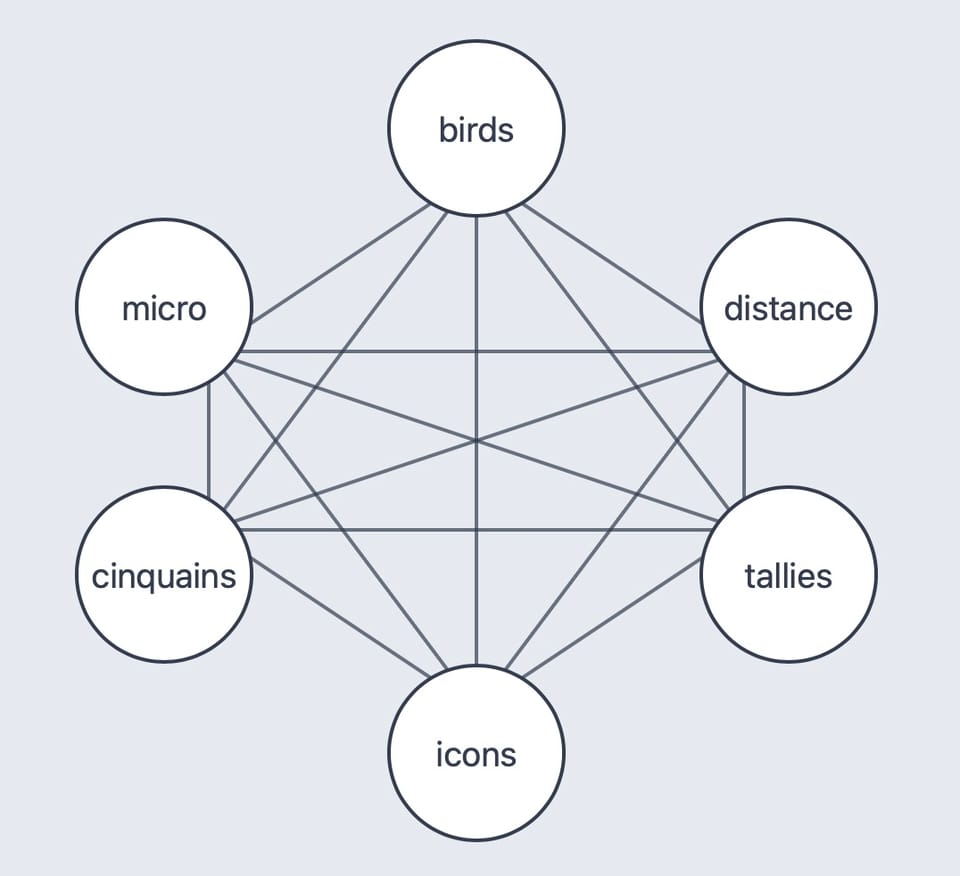 circles with words of birds, distance, tallies, icons, cinquains, and micro at vertices of a hexagon - lines between vertices