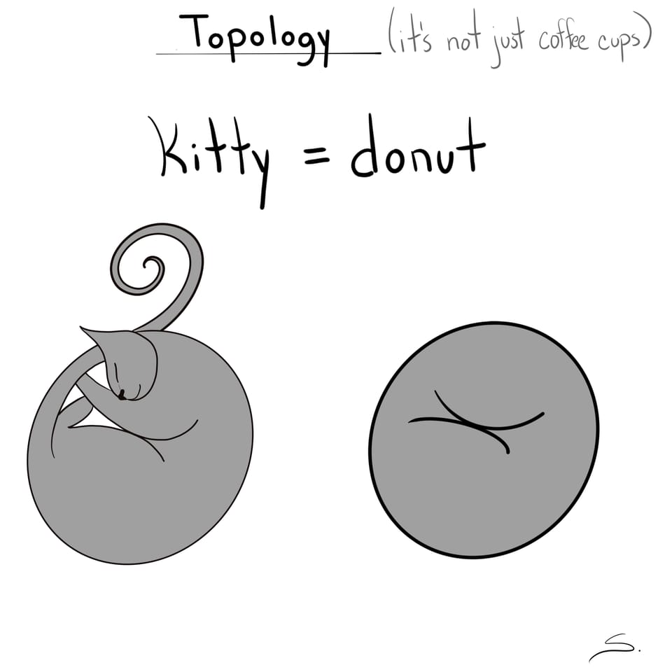 a cat sleeping curled up next to a similar shaped donut