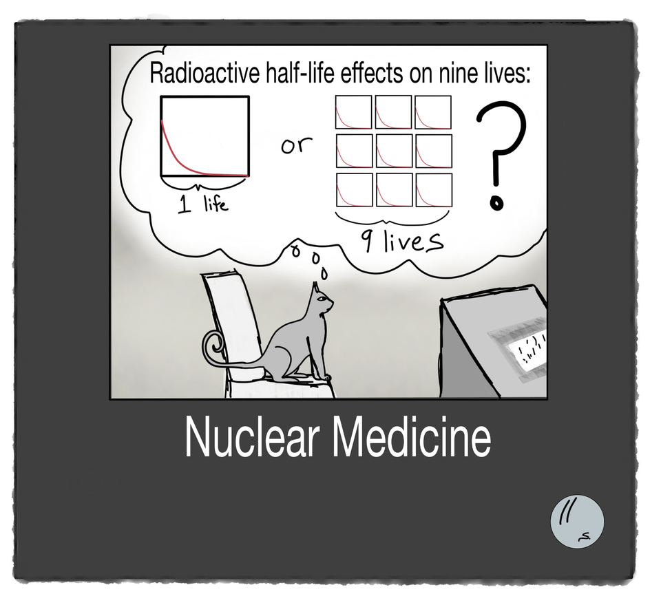 radioactive halflive plots of how its effects might apply to a cats nine lives through the door titled nuclear medicine