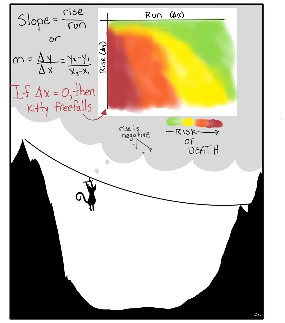 a kitty on a zip line showing the rise/run heat map that if the change in x is zero then the kitty falls