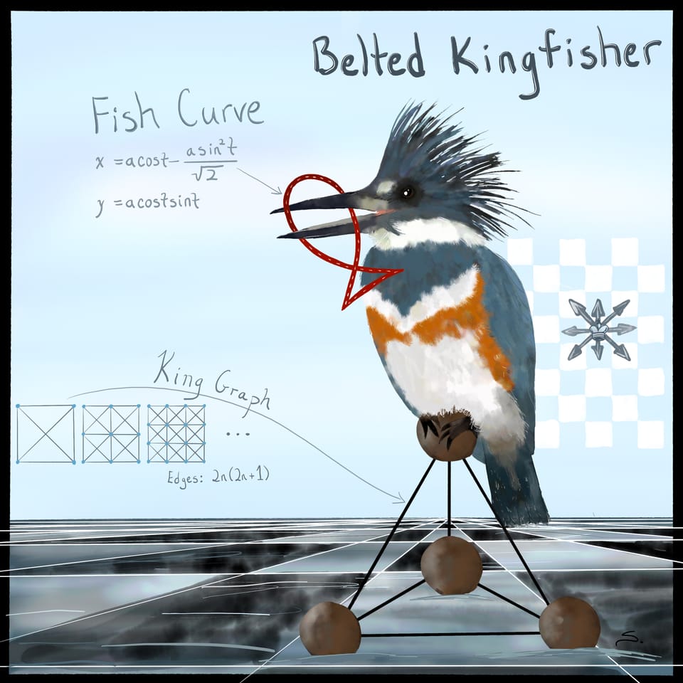 Belted Kingfisher