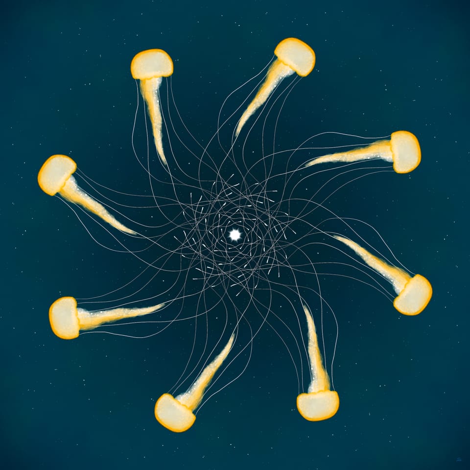 a mandala of jellyfish with overlapping tentacles 