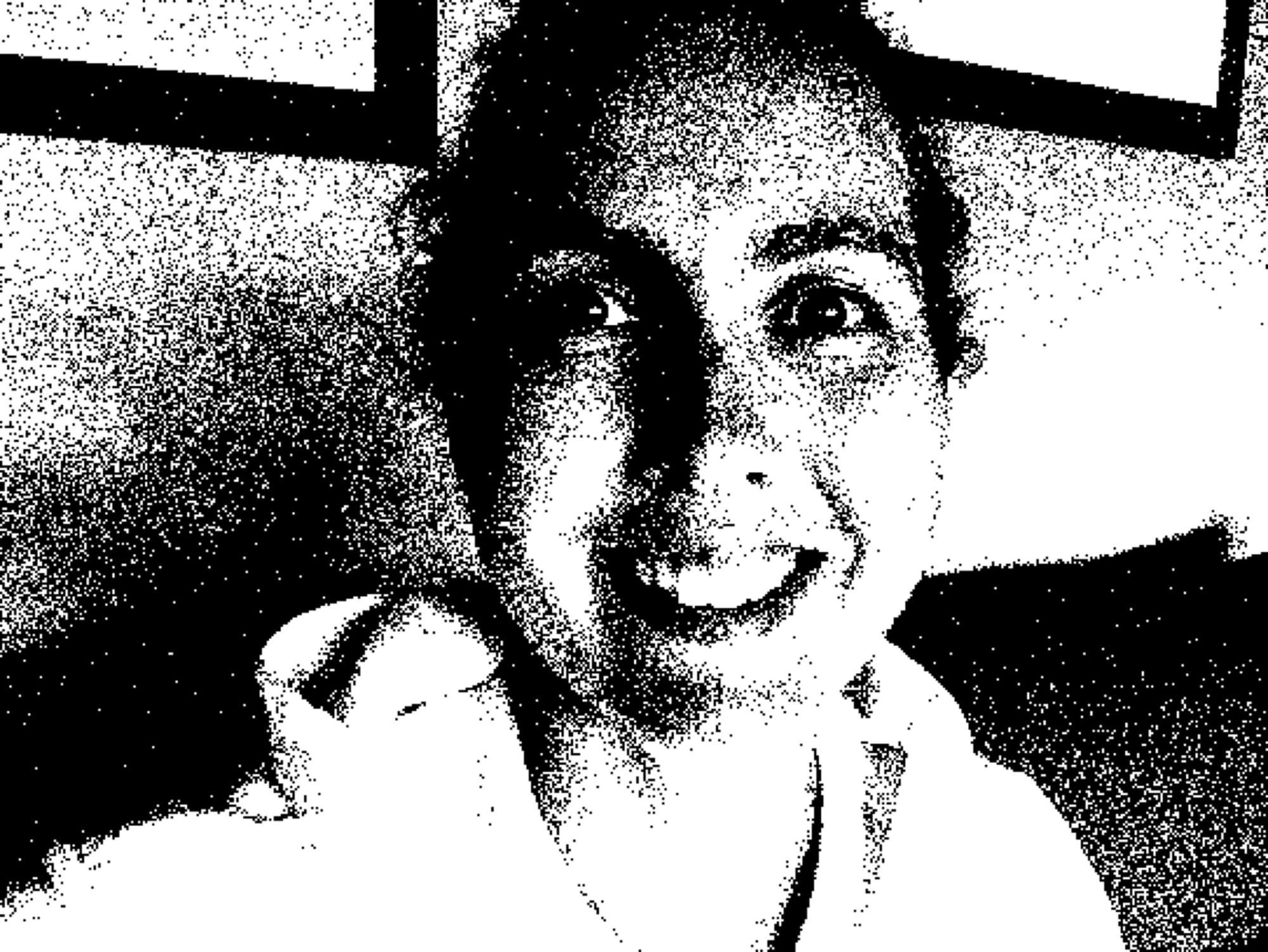 a dithered portrait