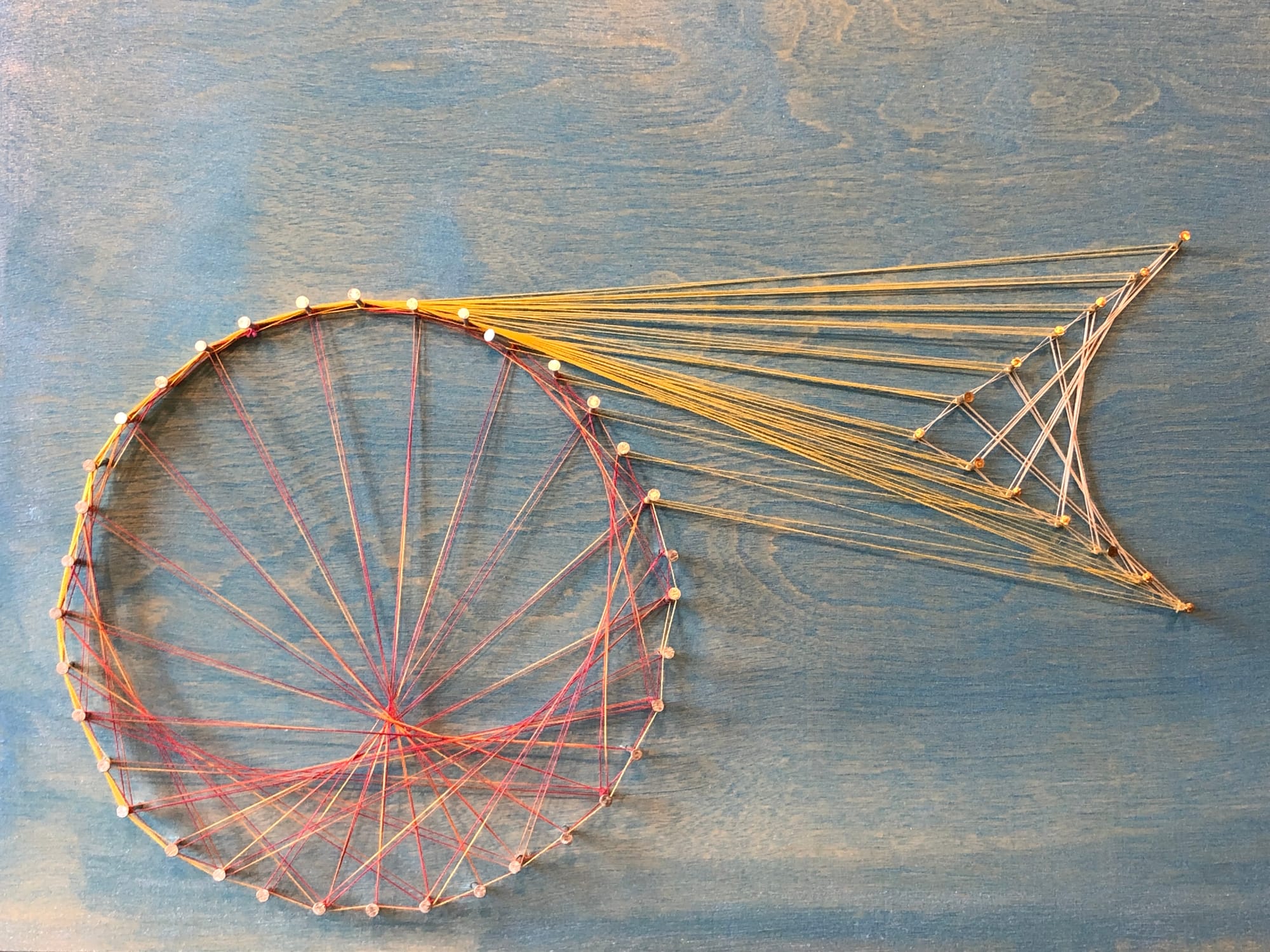 a string cardioid made with nails and string but with another shape shooting out the side