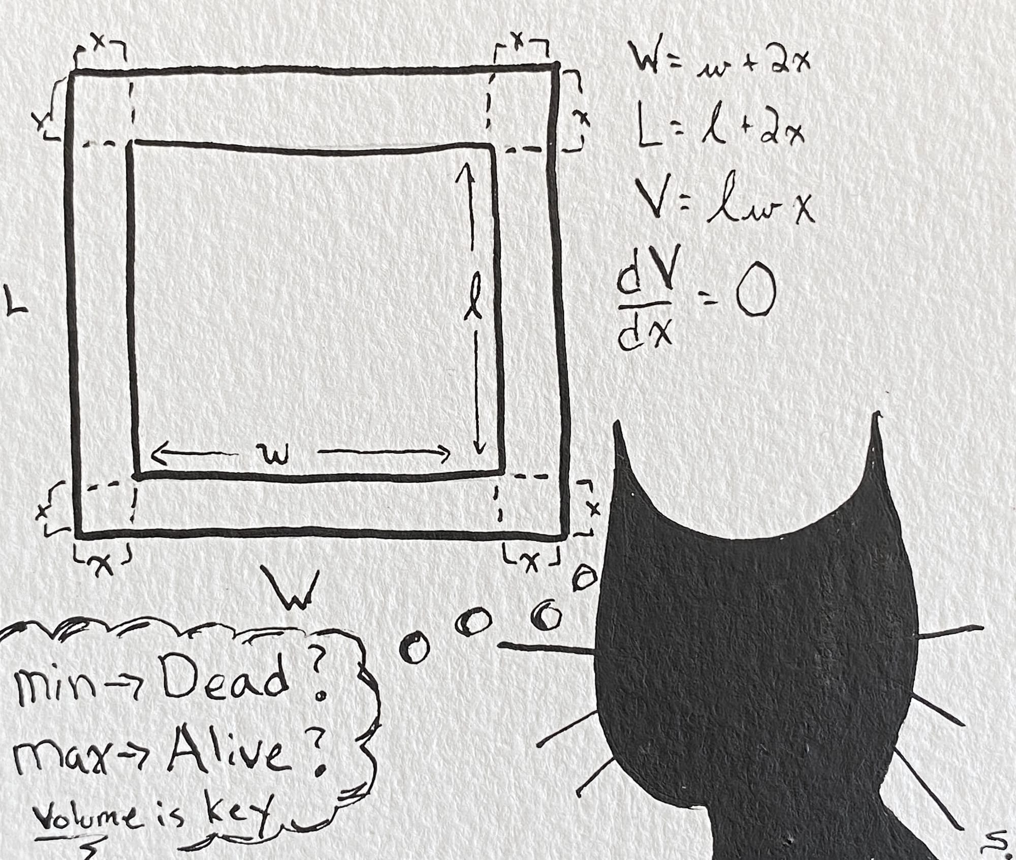 10/20/20: Maximum - Contemplating if "Dead or Alive?" is a Volume Problem...