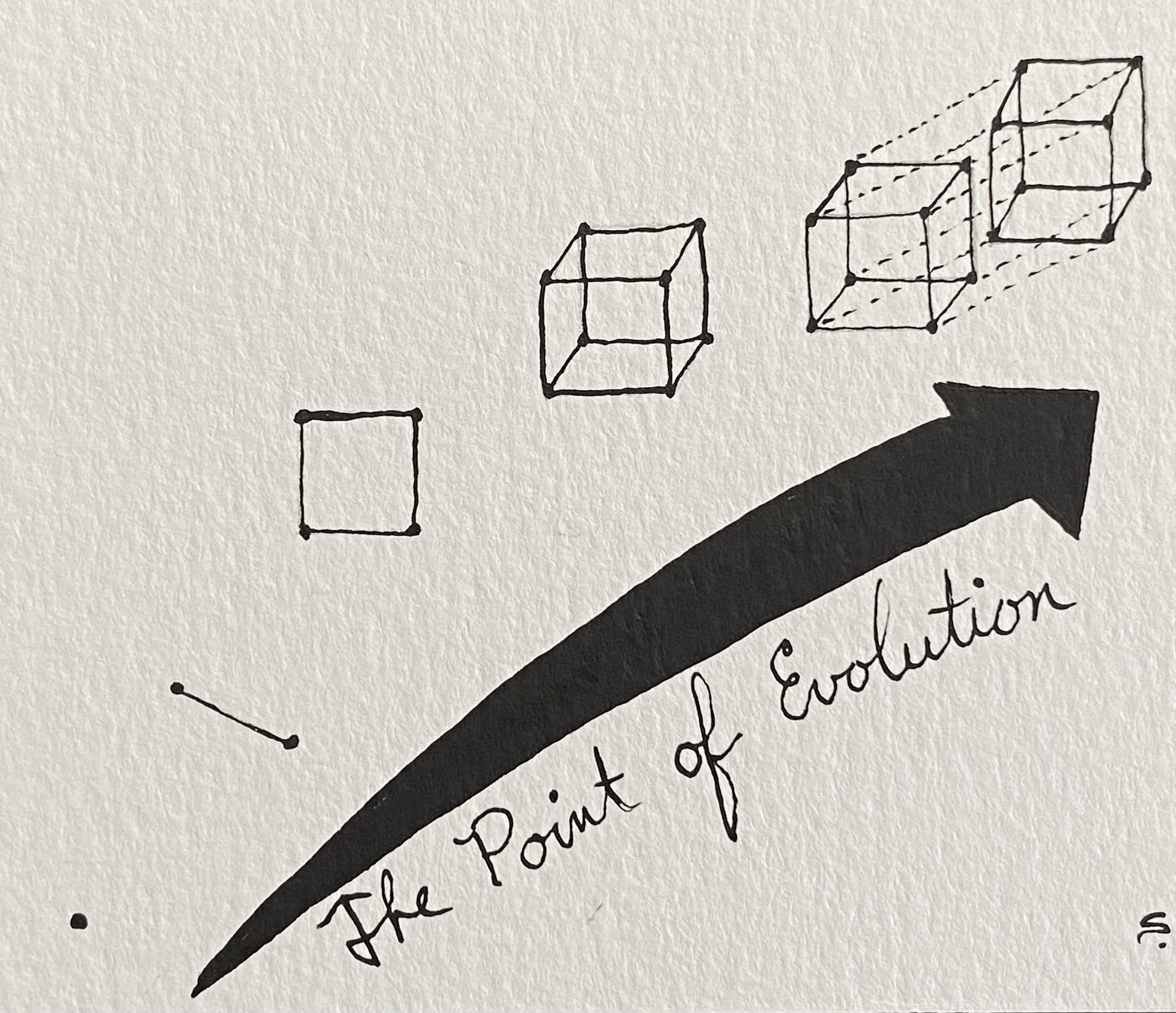 10/23/20:Point - The Point of Evolution