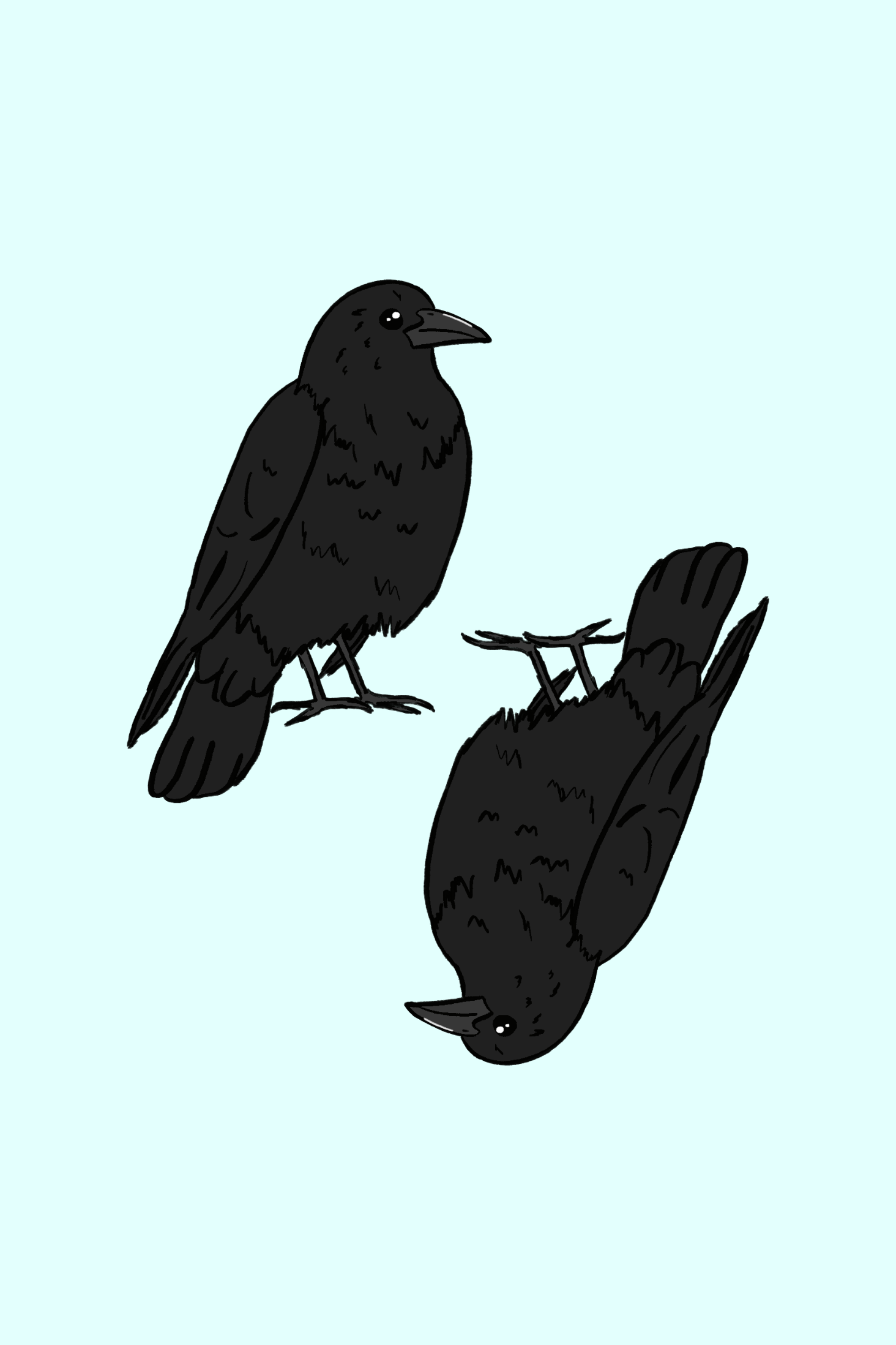 crows1