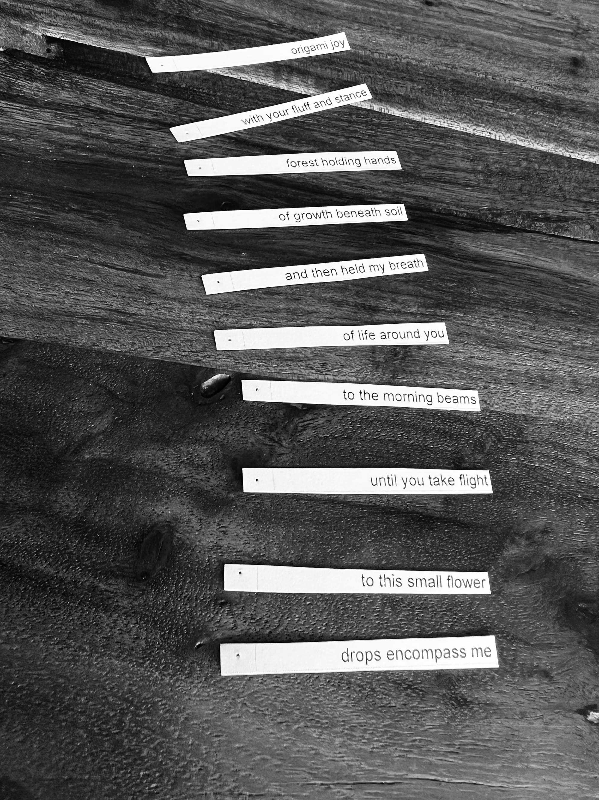 individual strips of paper with lines from haiku on a table