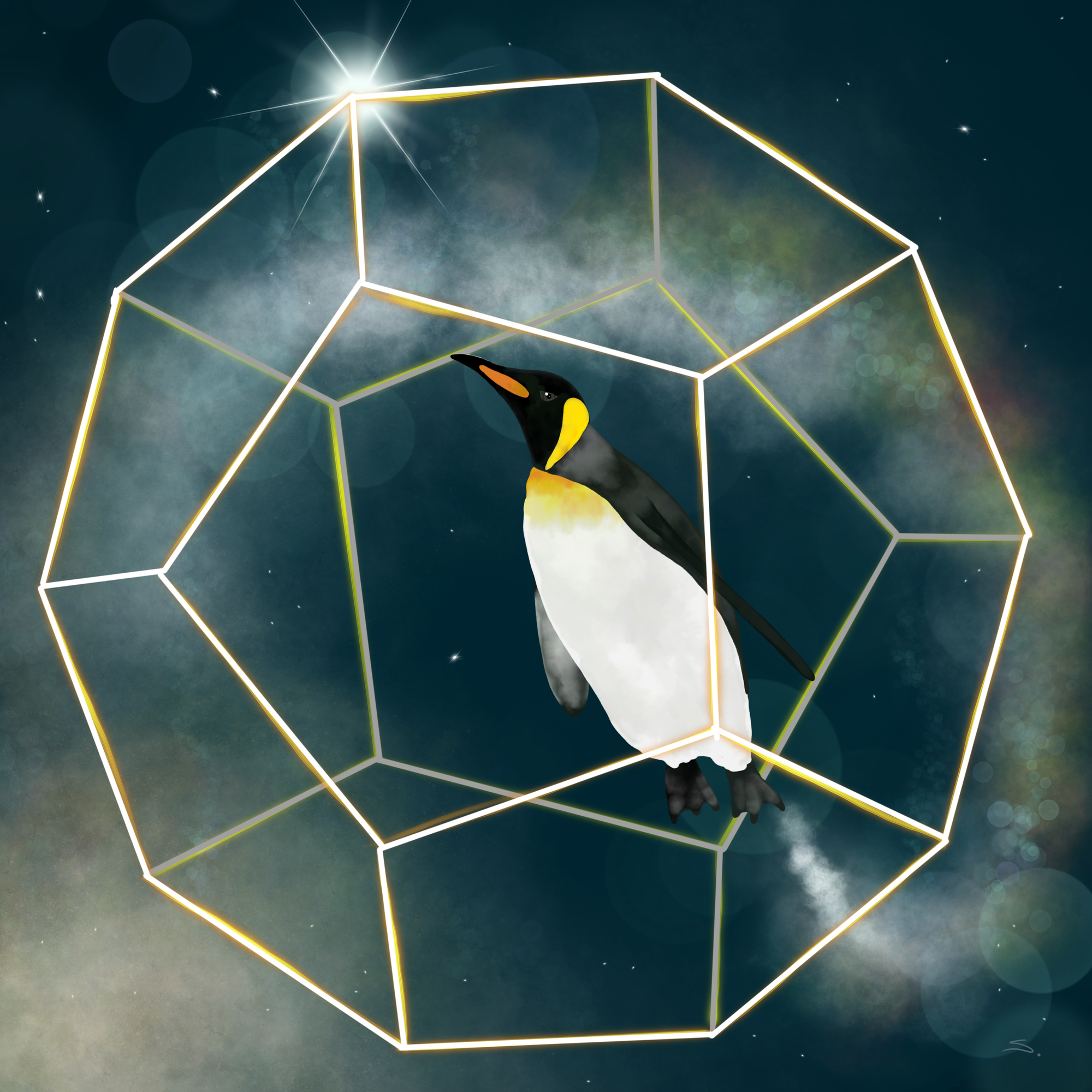 Penguin floating in a dodecahedron in space