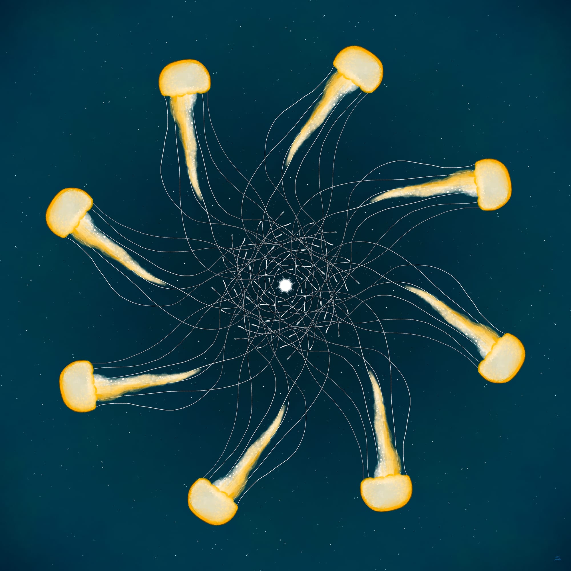 Eight jellyfish in a spiral with tentacles spiraling to center with starry-like ocean background. Jellyfish are yellow almost glowing." title="Eight jellyfish in a spiral with tentacles spiraling to center with starry-like ocean background. Jellyfish are yellow almost glowing.