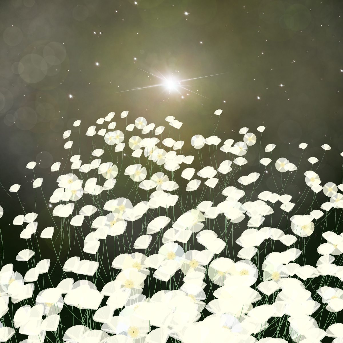 white poppies in a yellow-hazed starry scene