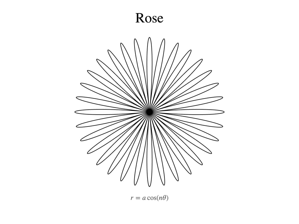 "rose" with curve and equations